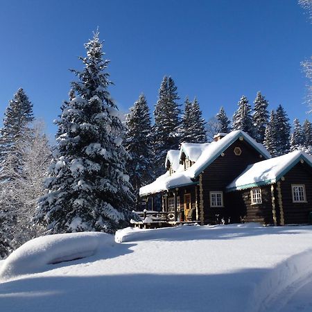 Domaine Le Bostonnais - Le Village En Bois Rond La Tuque Exteriör bild