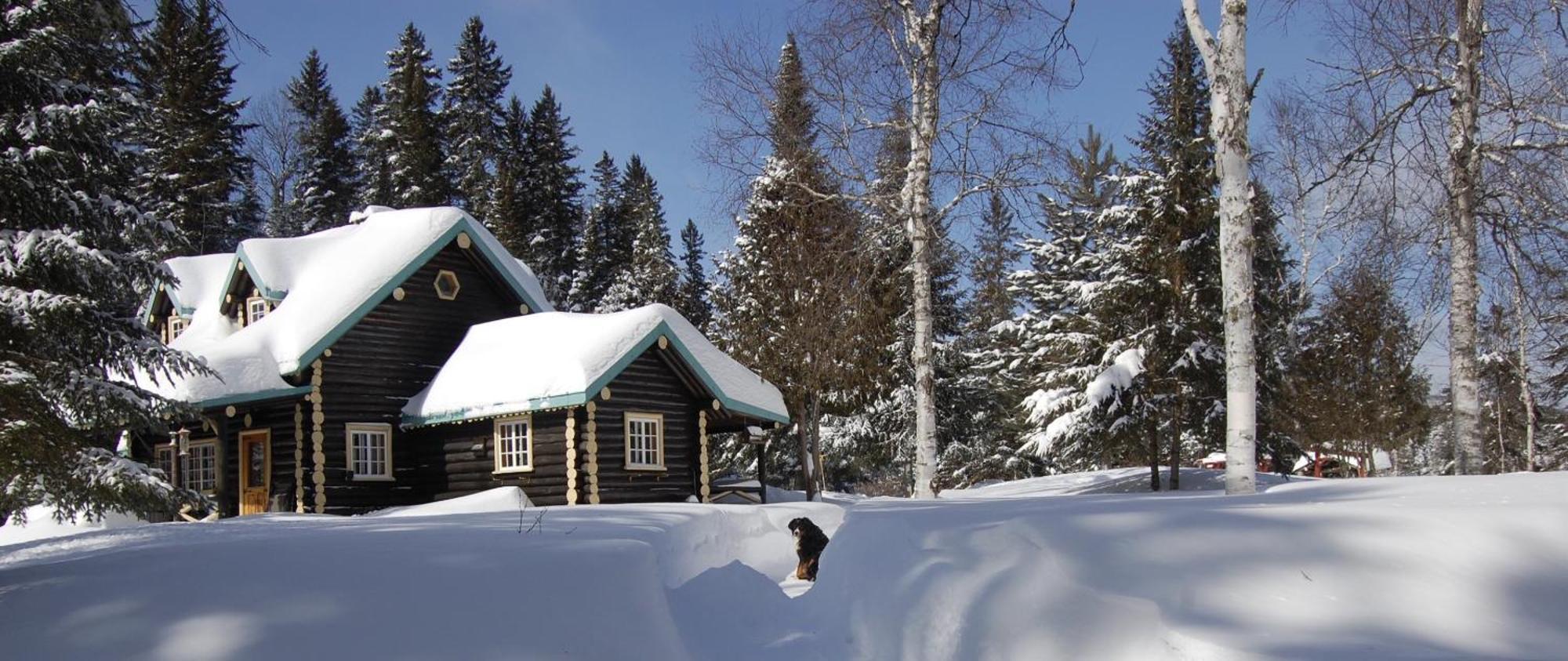 Domaine Le Bostonnais - Le Village En Bois Rond La Tuque Exteriör bild