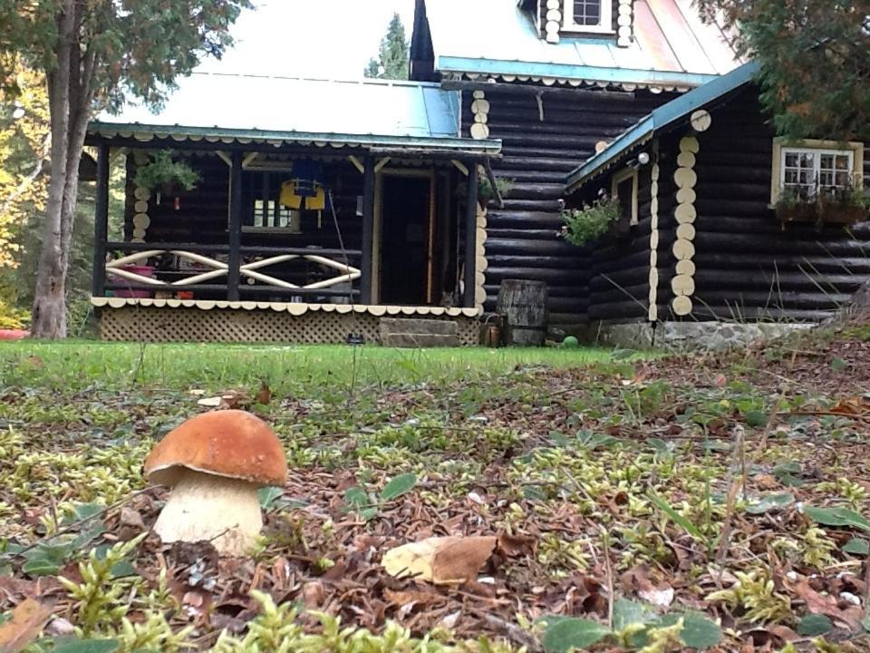 Domaine Le Bostonnais - Le Village En Bois Rond La Tuque Exteriör bild