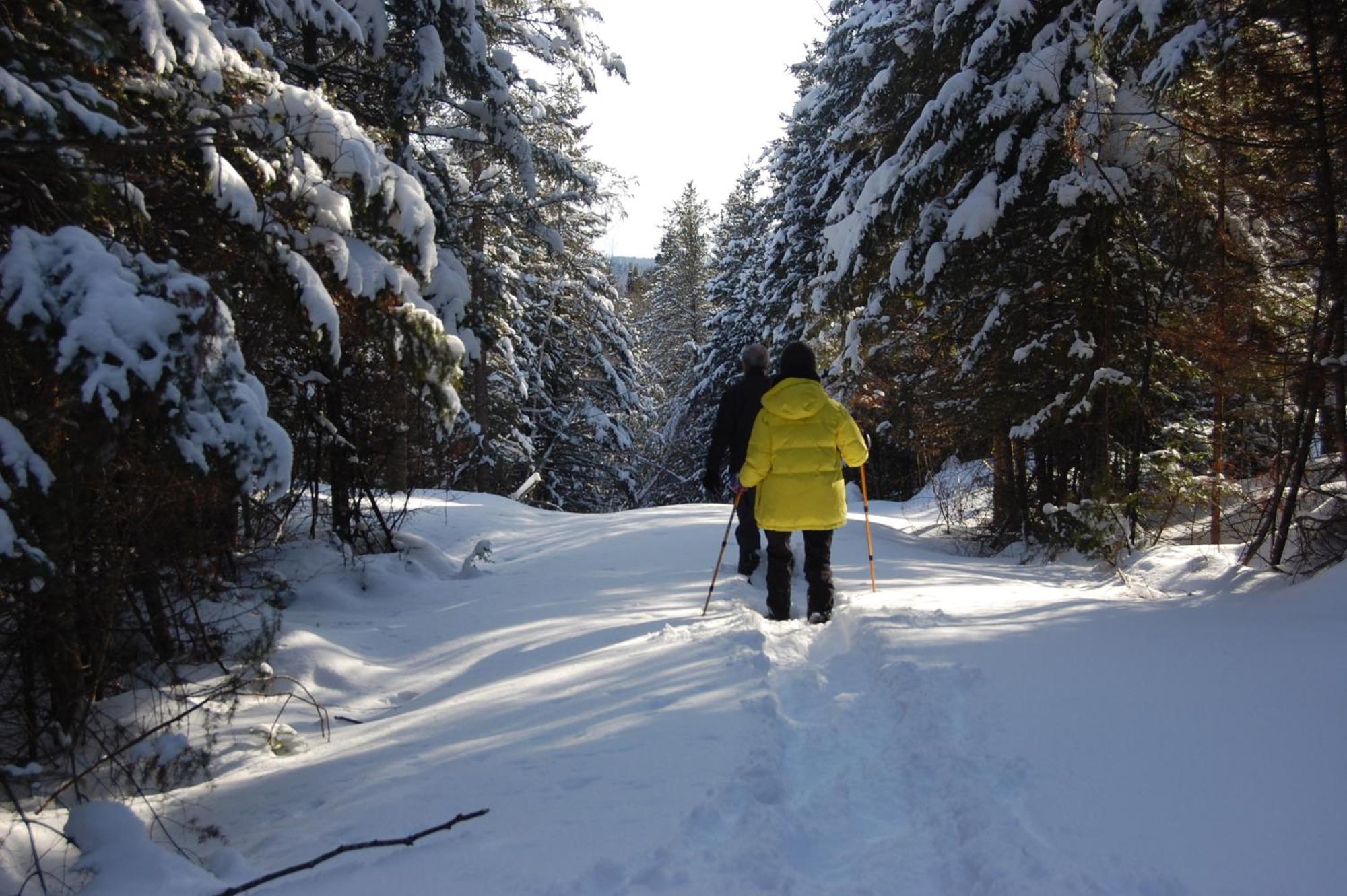 Domaine Le Bostonnais - Le Village En Bois Rond La Tuque Exteriör bild