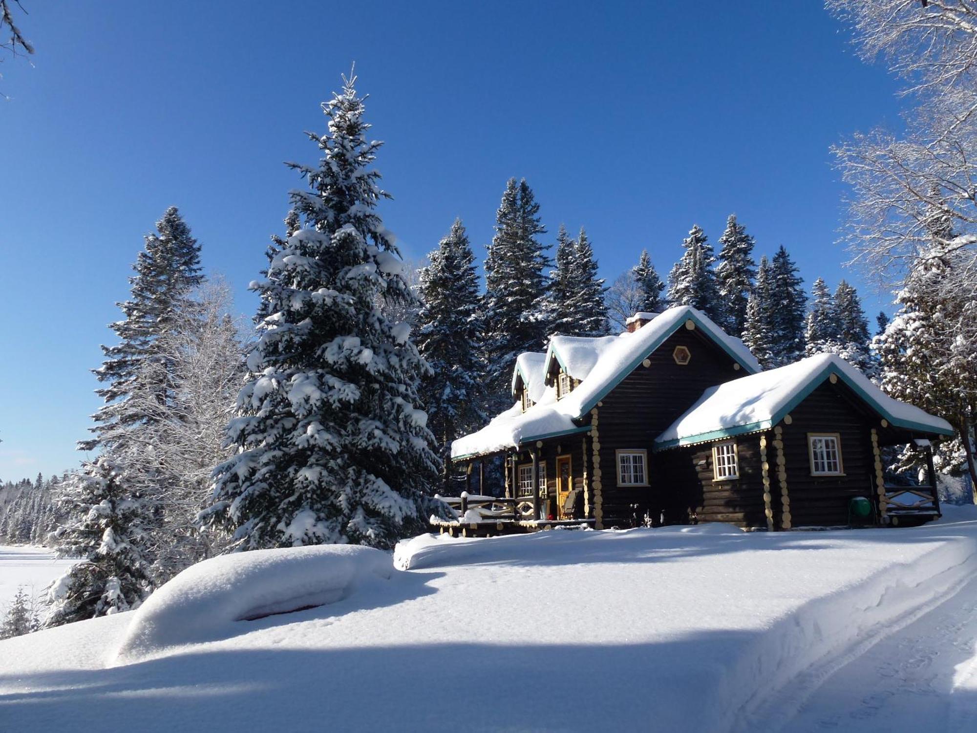 Domaine Le Bostonnais - Le Village En Bois Rond La Tuque Exteriör bild